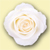 REd Rose