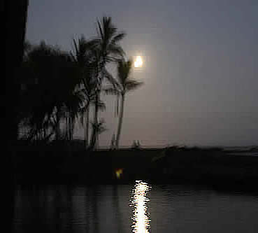 Full moon over warm ponds
